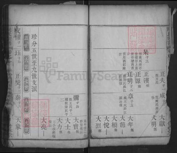 湖北省黄冈市红安县阮氏竹林堂族谱-阮氏宗谱.pdf电子版预览图4