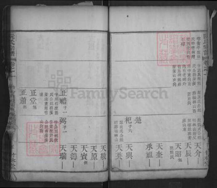 湖北省黄冈市红安县阮氏竹林堂族谱-阮氏宗谱.pdf电子版预览图5