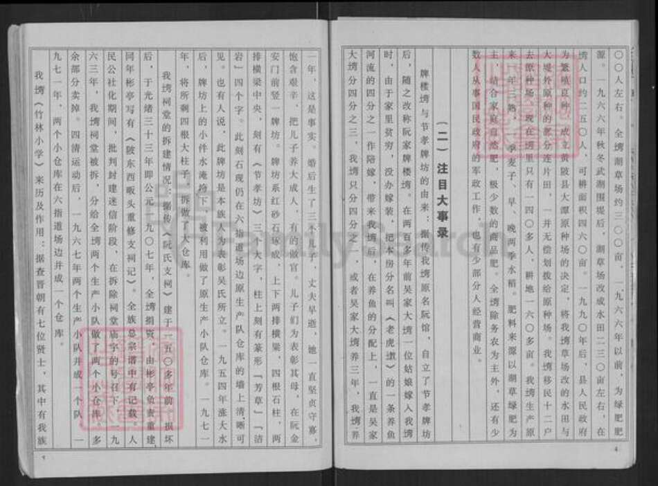 湖北省武汉市黄陂区阮氏族谱-黄陂县阮家牌楼湾综合史录[1册].pdf电子版预览图5