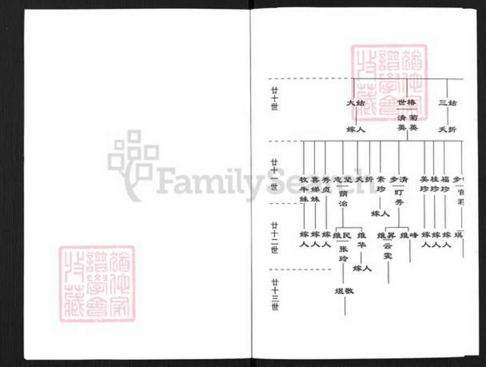 福建省龙岩市长汀县河田镇上官氏天水堂族谱-上官启存公五代家谱.pdf电子版预览图3