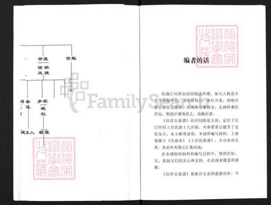 福建省龙岩市长汀县河田镇上官氏天水堂族谱-上官启存公五代家谱.pdf电子版预览图5
