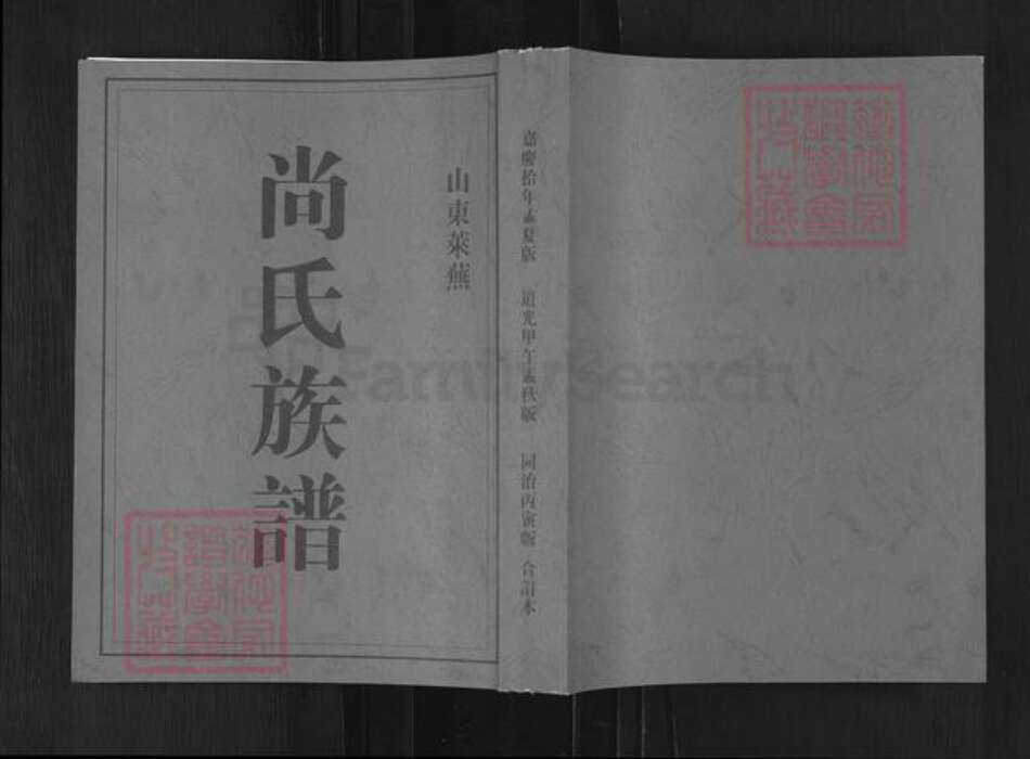 山东省泰安市新泰市东都镇尚氏族谱-尚氏族谱.pdf电子版缩略图