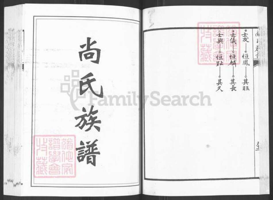 山东省泰安市新泰市东都镇尚氏族谱-尚氏族谱.pdf电子版预览图1