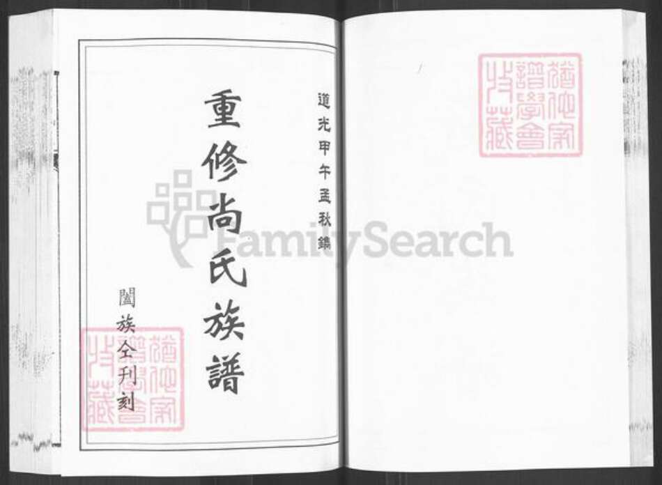 山东省泰安市新泰市东都镇尚氏族谱-尚氏族谱.pdf电子版预览图2