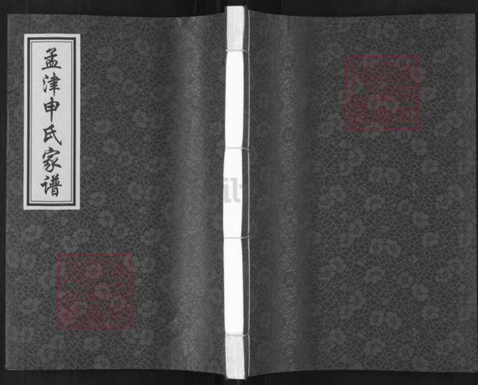 河南省洛阳市孟津县麻屯镇申氏族谱-孟津申氏家谱.pdf电子版缩略图