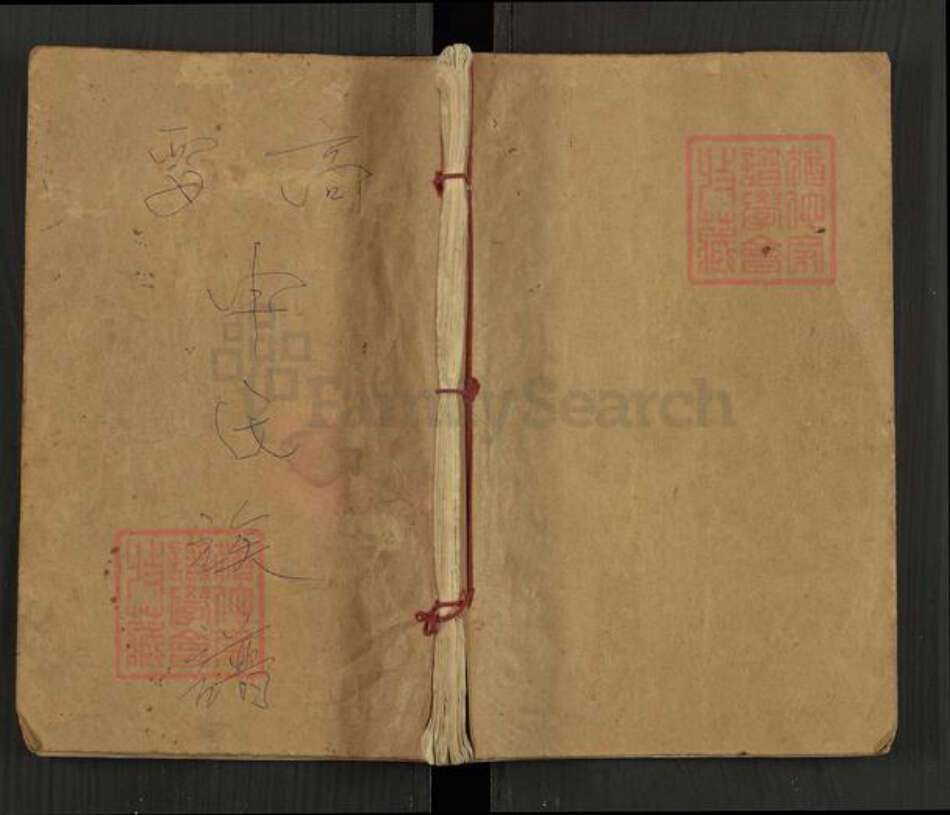 广东省肇庆市高要区申氏族谱-高要申氏族谱.pdf电子版缩略图