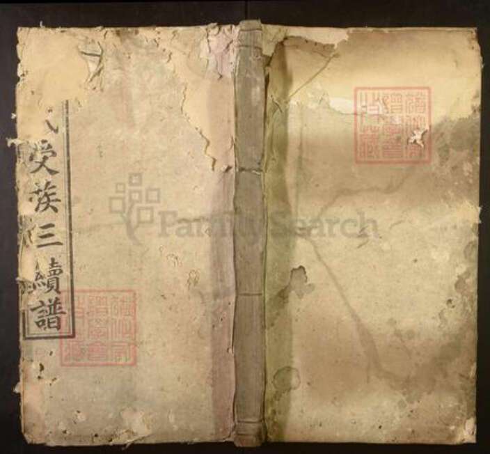 湖南省邵阳市申氏族谱-申氏受族三续谱.pdf电子版缩略图