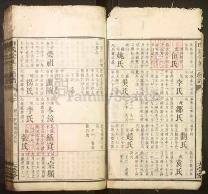 湖南省邵阳市申氏族谱-申氏受族三续谱.pdf电子版预览图2