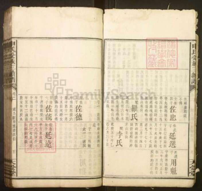 湖南省邵阳市申氏族谱-申氏受族三续谱.pdf电子版预览图5