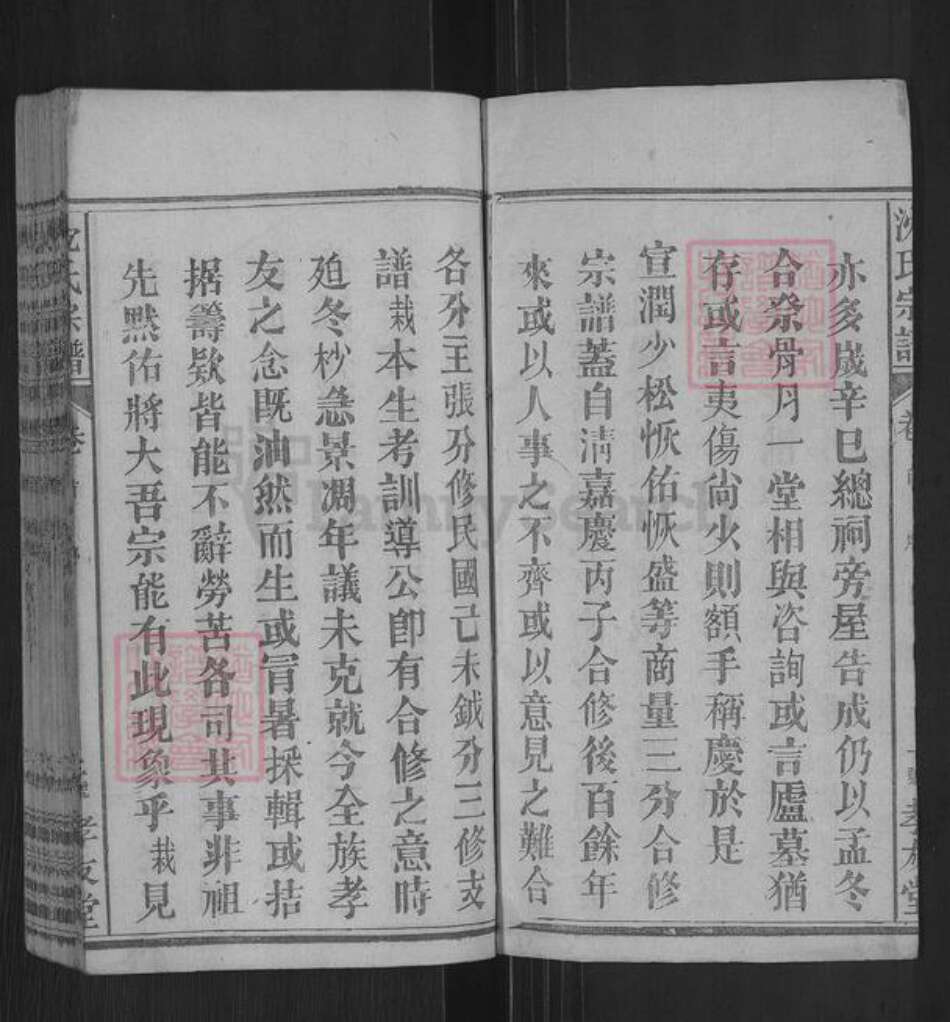 湖北省黄冈市麻城市沈氏孝友堂族谱-沈氏宗谱.pdf电子版预览图2