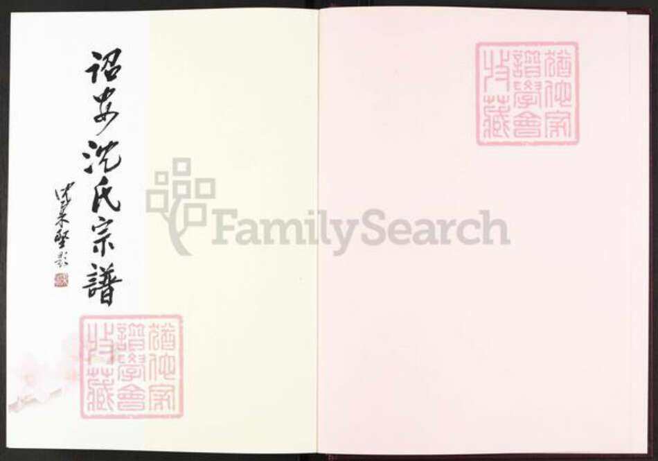 福建省漳州市诏安县南诏镇沈氏族谱-诏安沈氏宗谱.pdf电子版预览图1