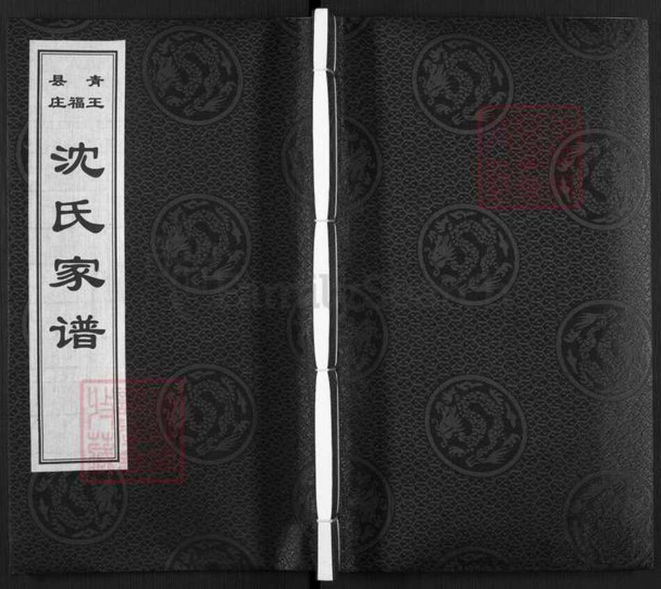 河北省沧州青县金牛镇沈氏族谱-青县王福庄沈氏家谱.pdf电子版缩略图