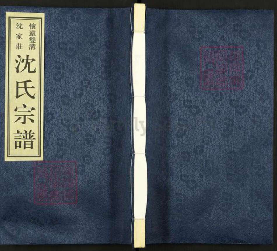 安徽省蚌端口市怀远县双沟乡沈氏吴兴堂族谱-沈氏宗谱.pdf电子版缩略图