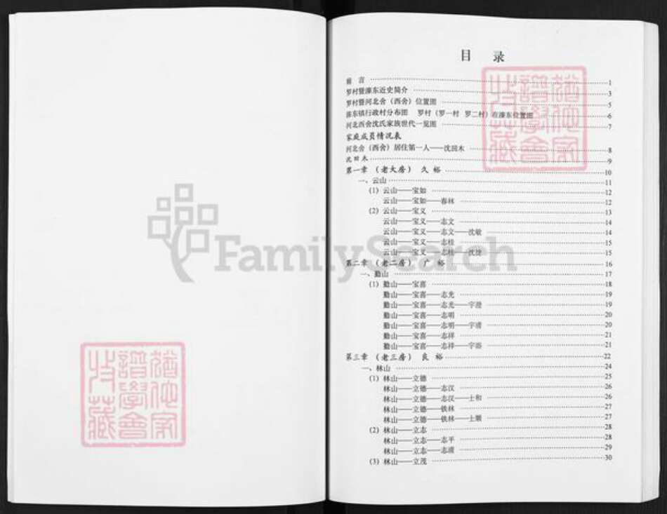 江苏省盐城市东台市溱东镇沈氏族谱-沈氏家谱.pdf电子版预览图4