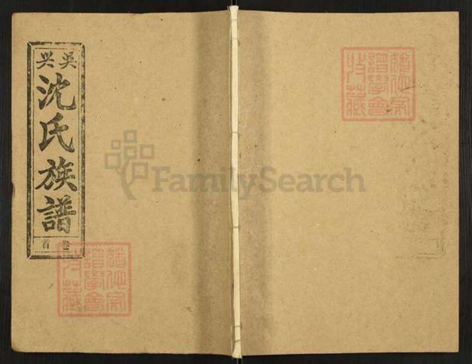 浙江省湖州沈氏双桂堂族谱-吴兴沈氏族谱.pdf电子版缩略图