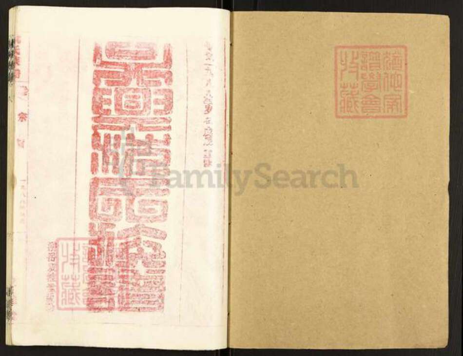 浙江省湖州沈氏双桂堂族谱-吴兴沈氏族谱.pdf电子版预览图1