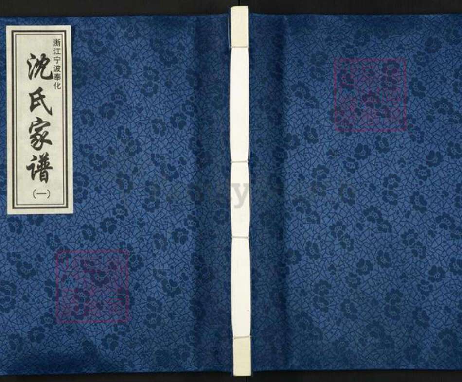 浙江省宁波市奉化区裘村镇沈氏族谱-浙江宁波奉化沈氏家谱.pdf电子版缩略图