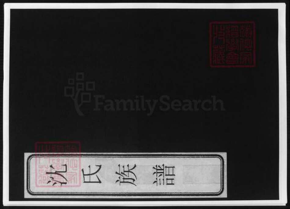 天津市沈氏族谱-沈氏族谱.pdf电子版缩略图