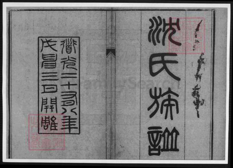 天津市沈氏族谱-沈氏族谱.pdf电子版预览图1