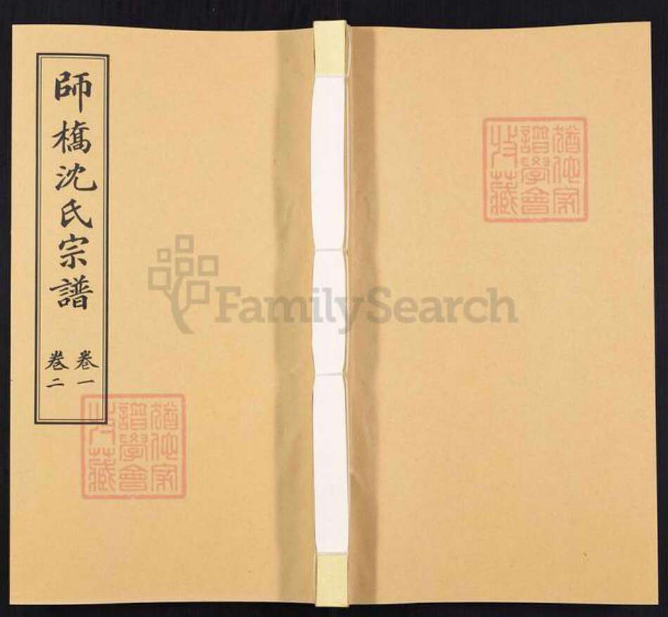 浙江省沈氏族谱-师桥沈氏宗谱[15卷].pdf电子版缩略图