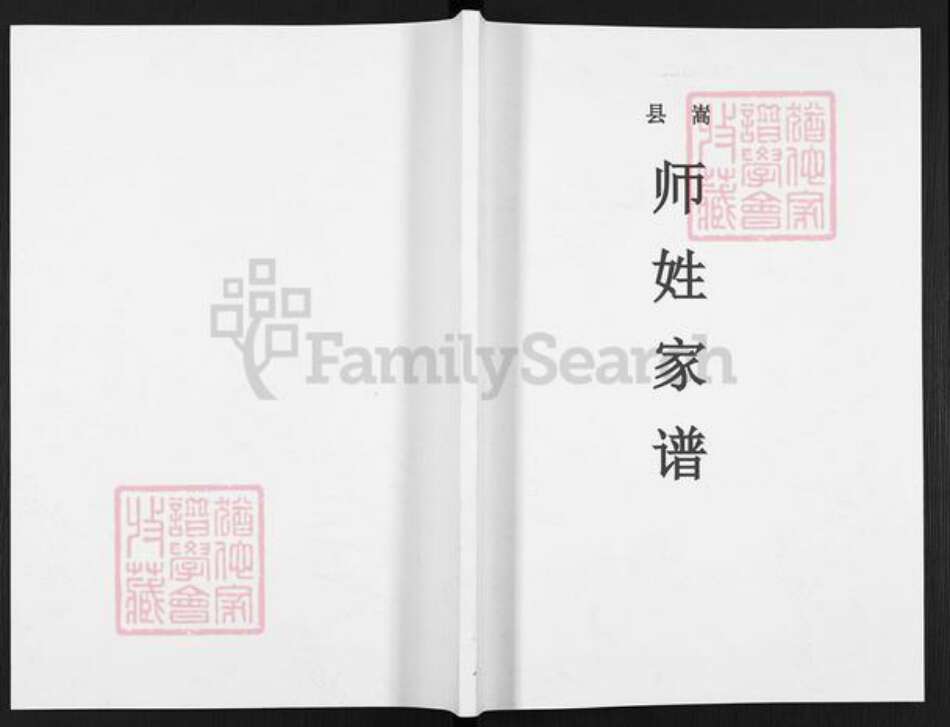 河南省洛阳市嵩县大坪乡师氏族谱-嵩县师姓家谱.pdf电子版