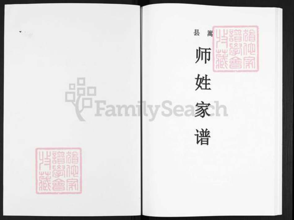 河南省洛阳市嵩县大坪乡师氏族谱-嵩县师姓家谱.pdf电子版预览图1