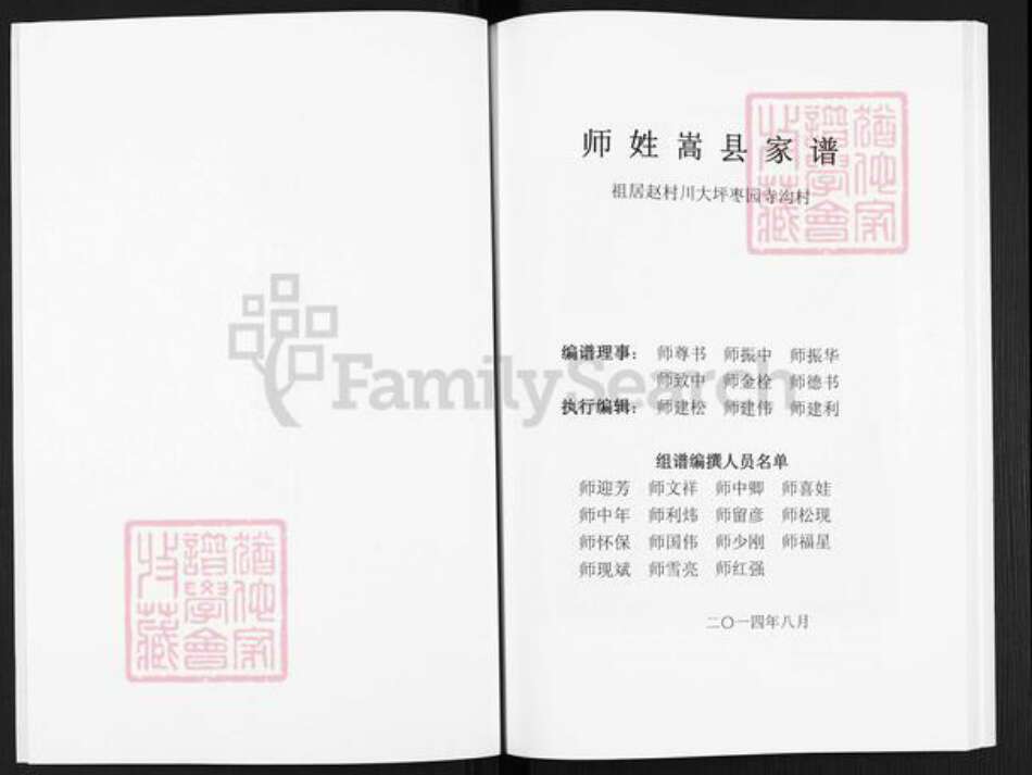 河南省洛阳市嵩县大坪乡师氏族谱-嵩县师姓家谱.pdf电子版预览图2