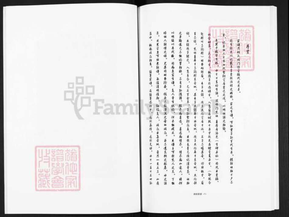 河南省洛阳市嵩县大坪乡师氏族谱-嵩县师姓家谱.pdf电子版预览图5