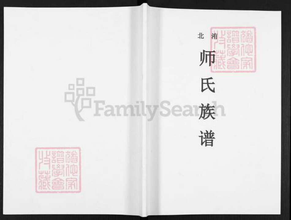 河南省开封市尉氏县洧川镇师氏族谱-洧北师氏族谱.pdf电子版