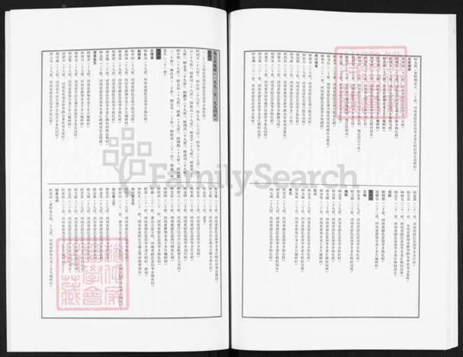 河南省开封市尉氏县洧川镇师氏族谱-洧北师氏族谱.pdf电子版预览图4