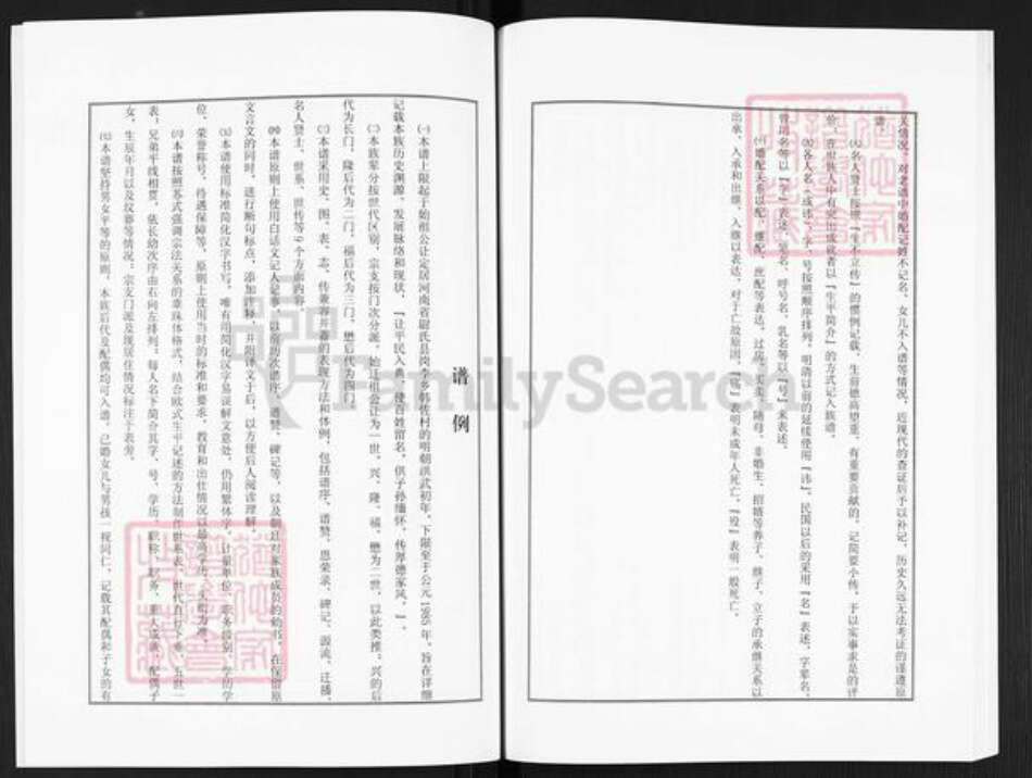 河南省开封市尉氏县洧川镇师氏族谱-洧北师氏族谱.pdf电子版预览图5