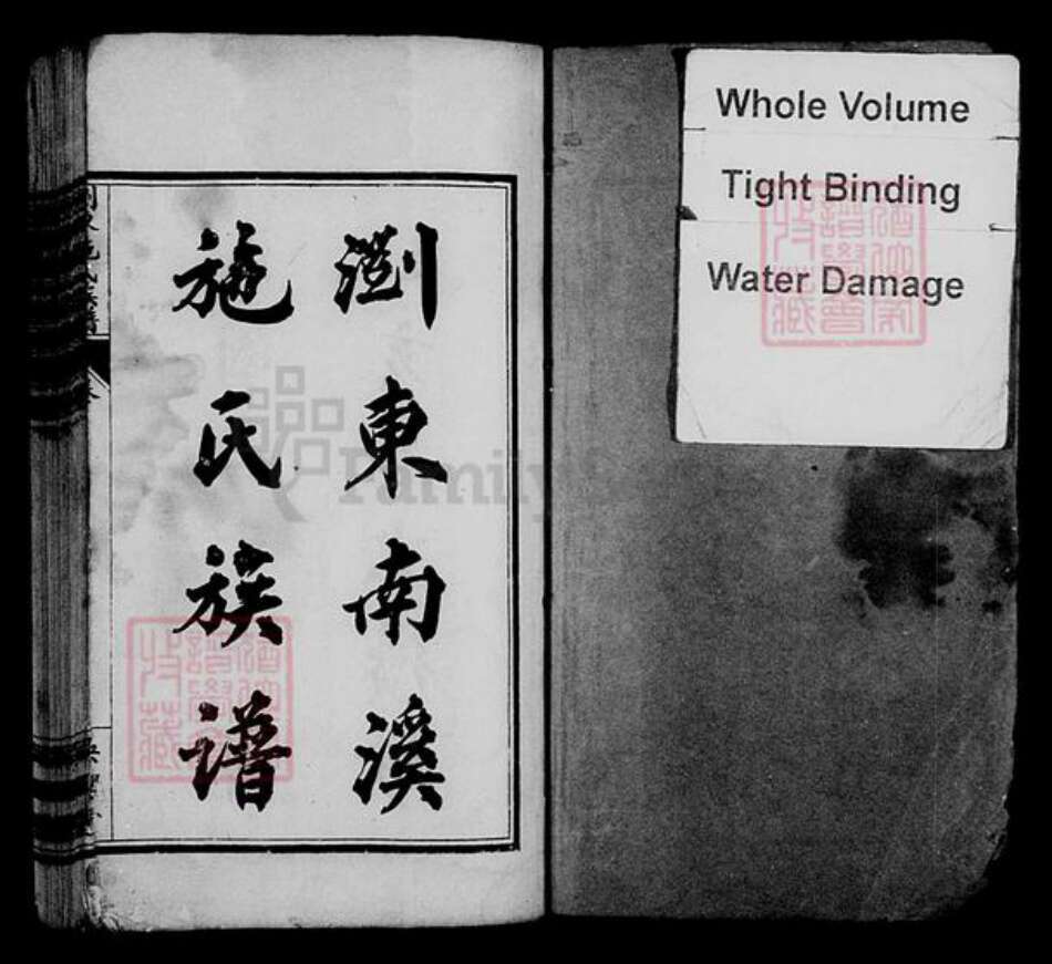 湖南省长沙市浏阳市浏阳施氏族谱-浏东南溪施氏族谱 [10卷,末1卷].pdf电子版预览图1