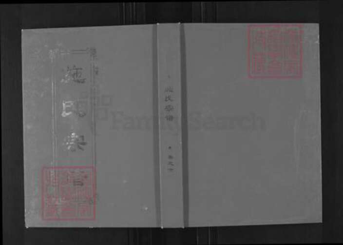 湖北省黄冈市麻城市宋端口镇施氏宗伯堂族谱-施氏宗谱.pdf电子版缩略图