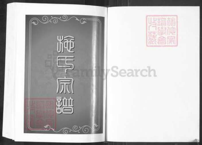 湖北省黄冈市麻城市宋端口镇施氏宗伯堂族谱-施氏宗谱.pdf电子版预览图1