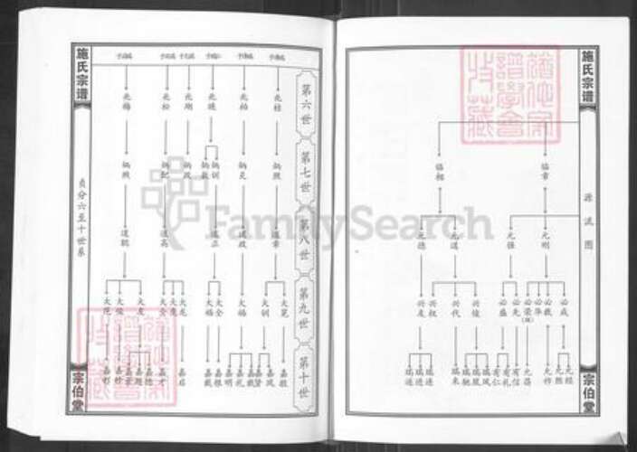 湖北省黄冈市麻城市宋端口镇施氏宗伯堂族谱-施氏宗谱.pdf电子版预览图3