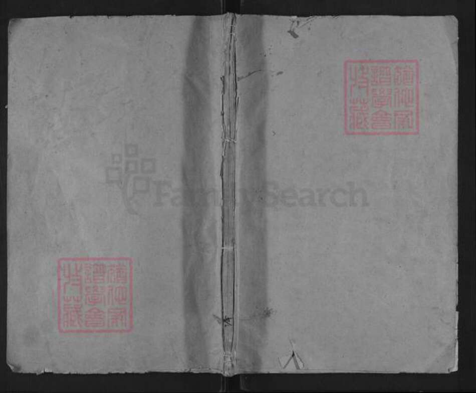 浙江省丽水市缙云县施氏族谱-泽几东阳郡施氏宗谱.pdf电子版缩略图