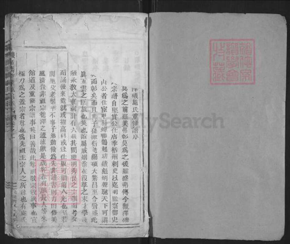 浙江省丽水市缙云县施氏族谱-泽几东阳郡施氏宗谱.pdf电子版预览图1