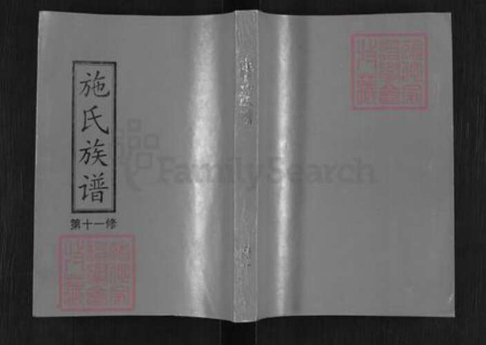 江西省施氏族谱-施氏十一修族谱.pdf电子版缩略图