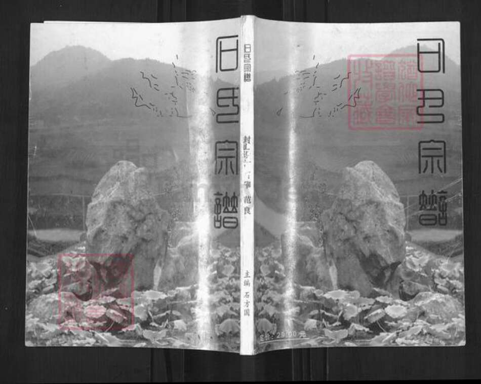 四川省德阳市中江县继光镇石氏族谱-石氏宗谱.pdf电子版缩略图