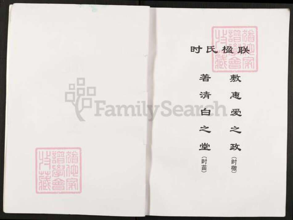 江苏省淮安市淮阴区徐溜镇时氏陇西堂族谱-时氏族谱.pdf电子版预览图2