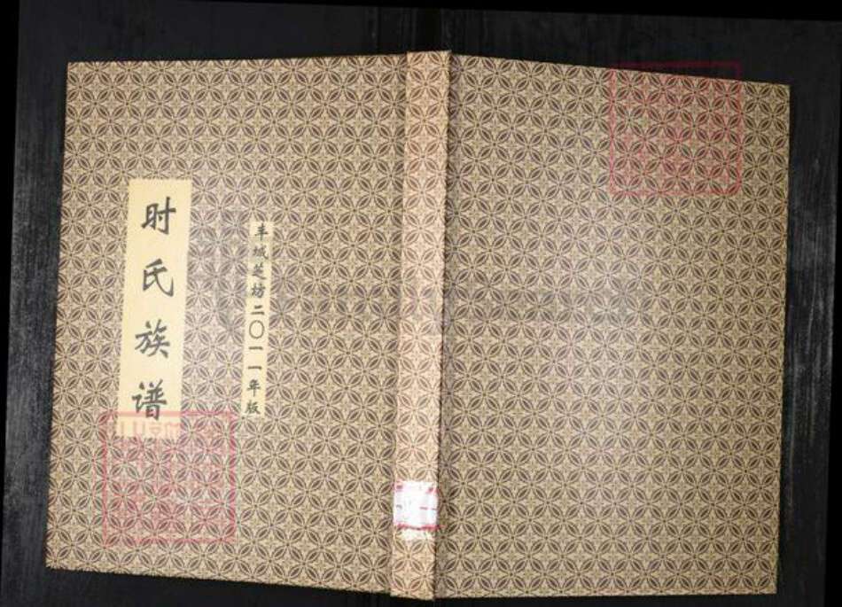 山东省青岛市时氏族谱-时氏族谱.飞城芝坊.pdf电子版缩略图