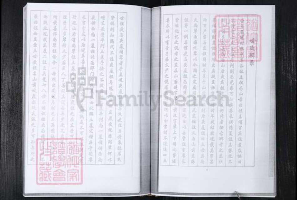 山东省青岛市时氏族谱-时氏族谱.飞城芝坊.pdf电子版预览图5