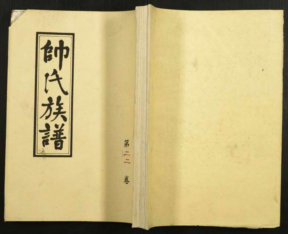 江西省帅氏族谱-帅氏族谱.pdf电子版缩略图