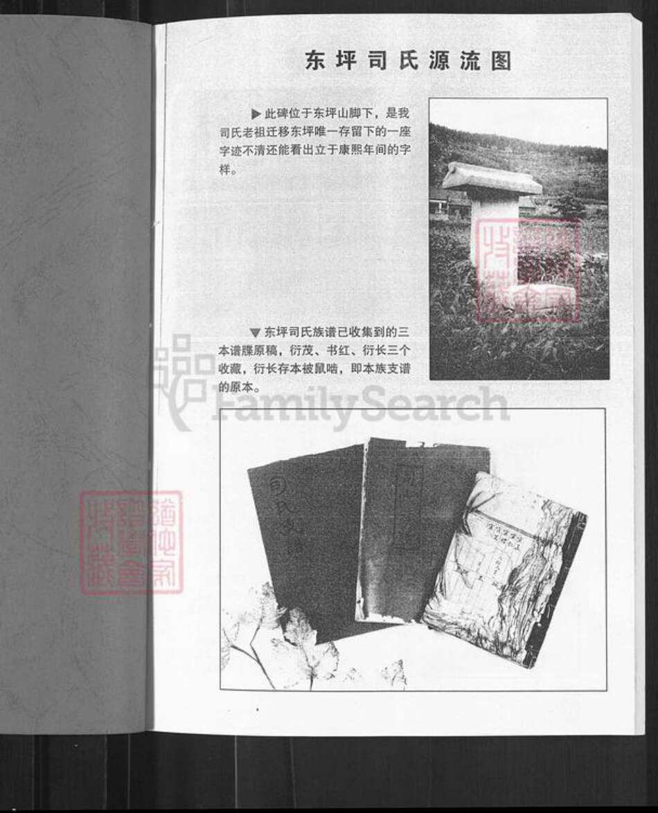 山东省淄博市淄川区司氏族谱-司氏族谱.pdf电子版预览图1