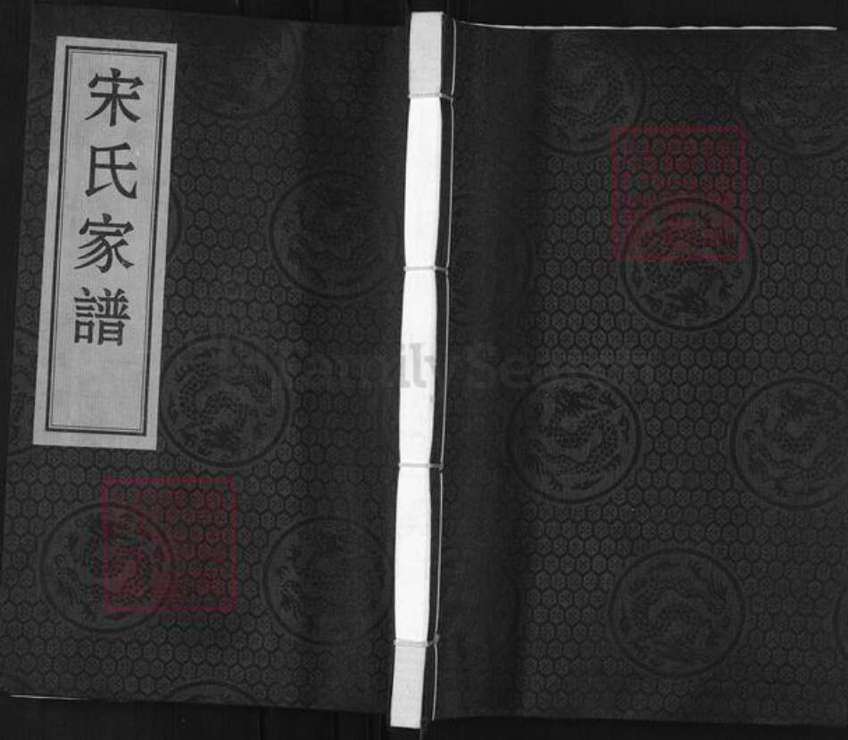 河北省沧州沧县杜生镇宋氏族谱-宋氏家谱.pdf电子版缩略图