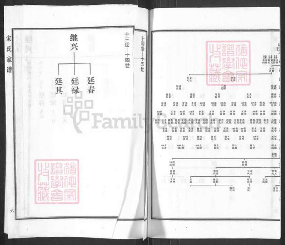 河北省沧州沧县杜生镇宋氏族谱-宋氏家谱.pdf电子版预览图5