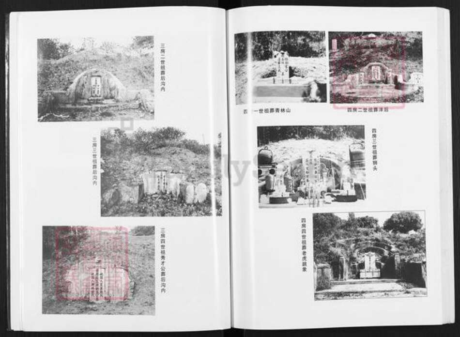 广东省汕头市澄海区宋氏诒燕堂族谱-澄海樟林宋氏族谱.pdf电子版预览图4