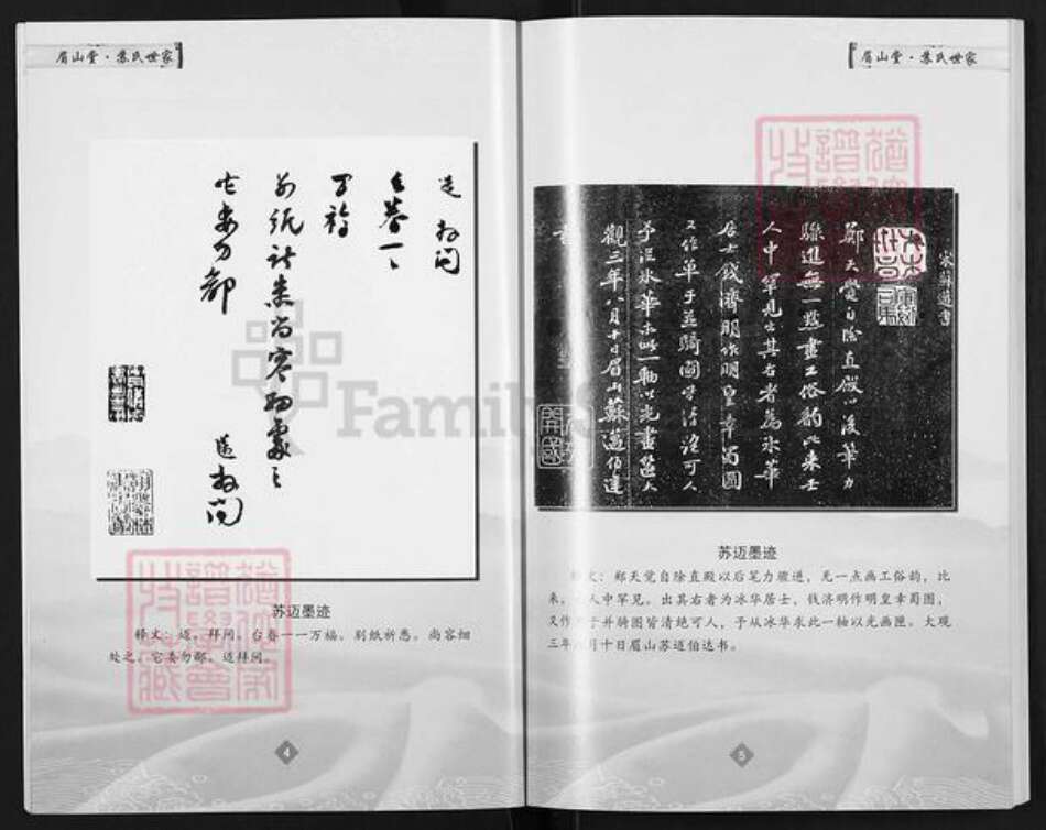 安徽省宿州市萧县官桥镇苏氏眉山堂族谱-苏氏世家.pdf电子版预览图4