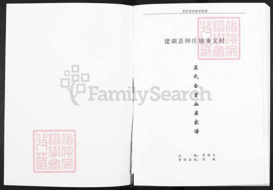 江苏省盐城市建湖县钟庄街道苏氏武功堂族谱-苏氏金堂血亲家谱.pdf电子版预览图2