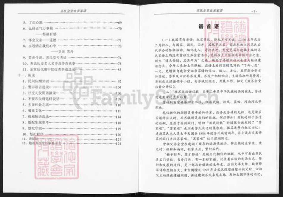 江苏省盐城市建湖县钟庄街道苏氏武功堂族谱-苏氏金堂血亲家谱.pdf电子版预览图4